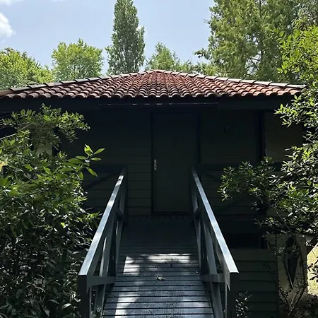 Haut De Gamme Pour 14 Personnes Avec Piscine Et Jardin Proche De L'ocean - Fr-1-379-151 Villa *